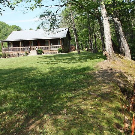 Climbing Bear Creekside Cabin Villa Whittier Eksteriør bilde